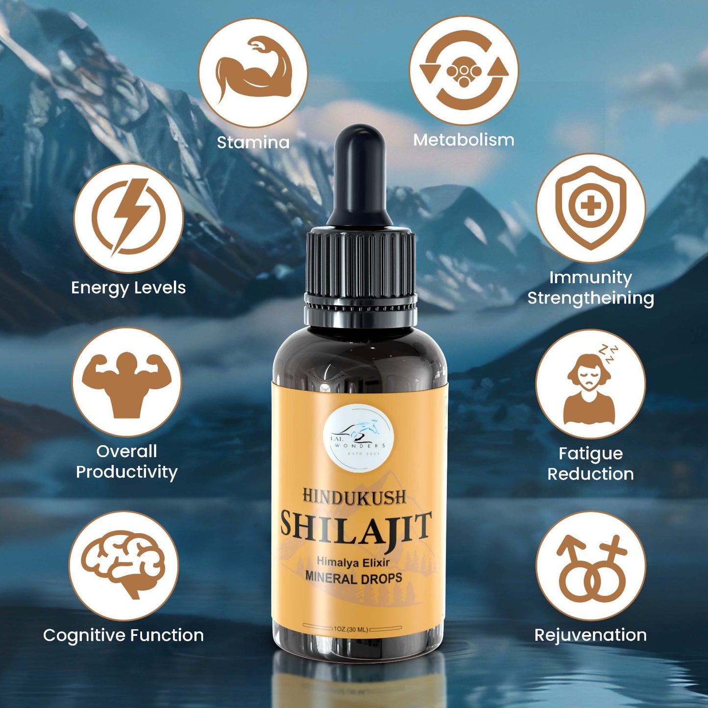 Shilajit Mineral Drops | Shilajit Supplement for Men Women with Trace Minerals | Immune Support,, Energy Boost & Wellness Drops|