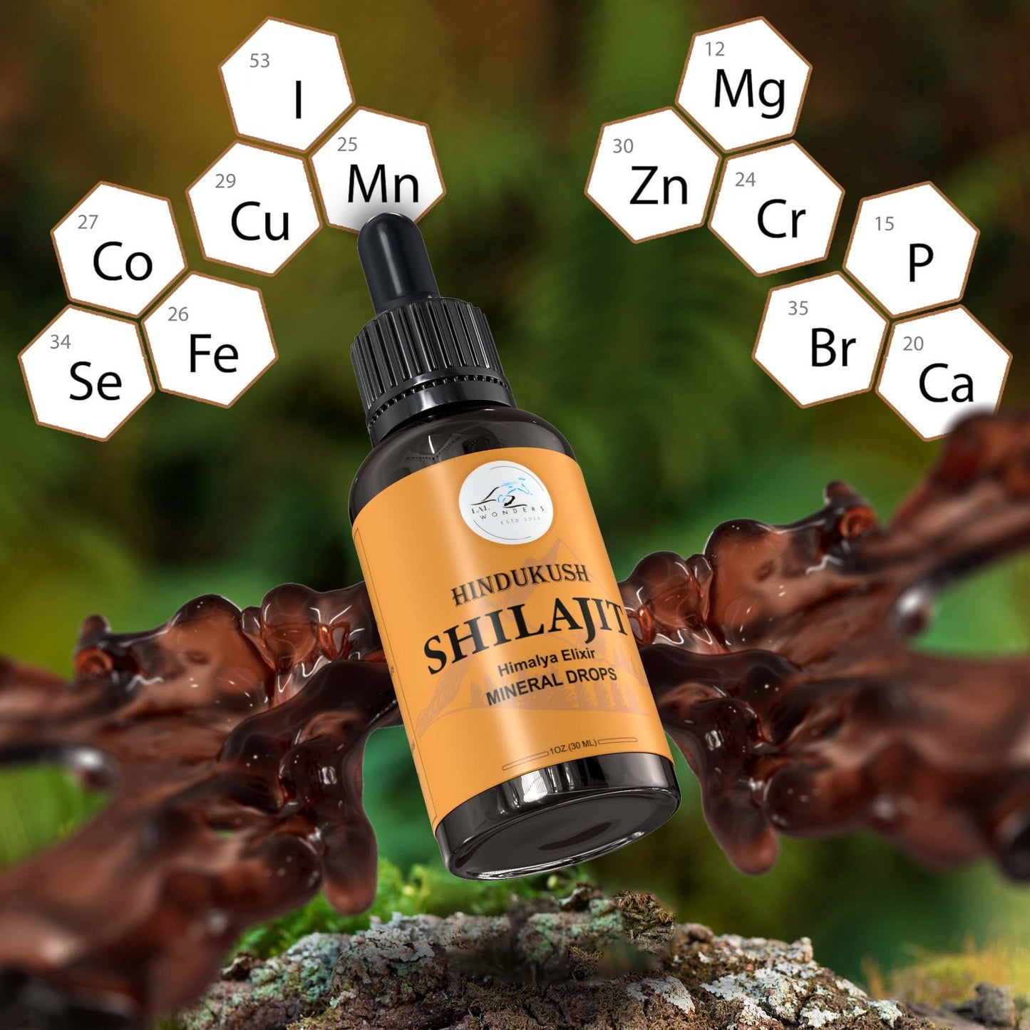 Shilajit Mineral Drops | Shilajit Supplement for Men Women with Trace Minerals | Immune Support,, Energy Boost & Wellness Drops|